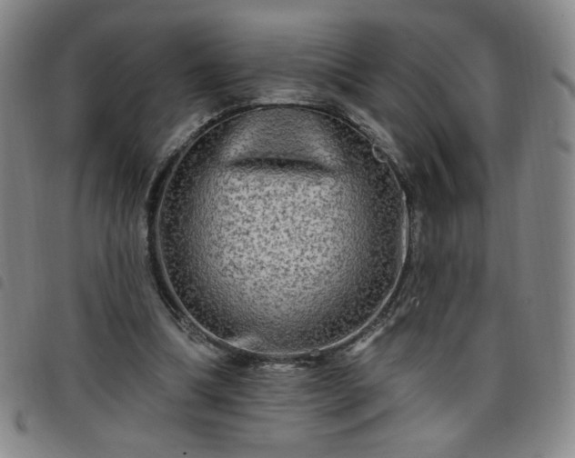 X0000098130298200804241656