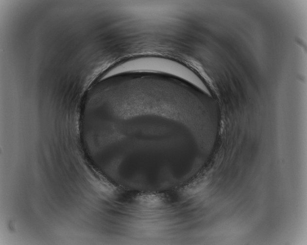 X0000098130299200804241656