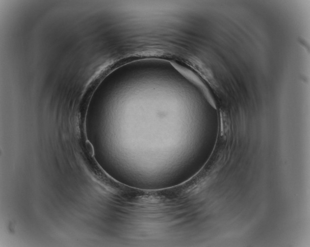 X0000098130300200804241656