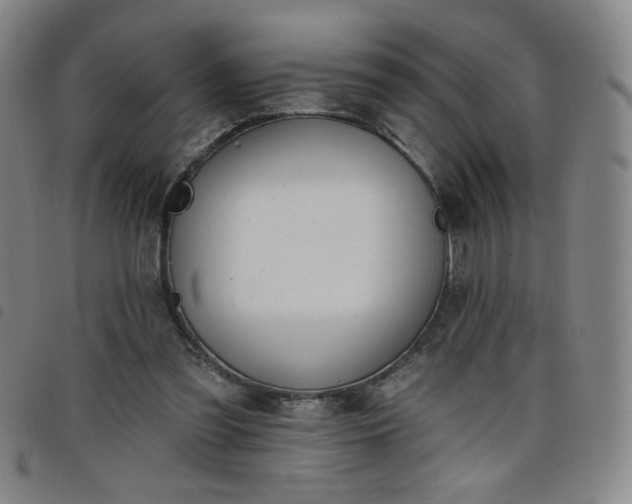 X0000098130301200804241656