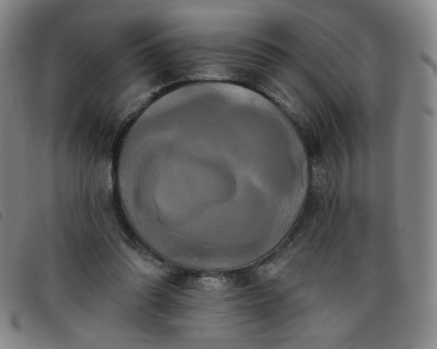 X0000098130302200804241656