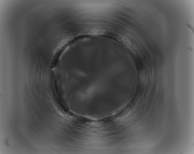 X0000098130303200804241656