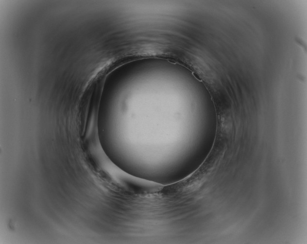 X0000098130304200804241656