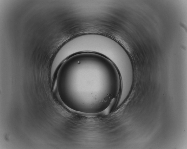 X0000098130305200804241656