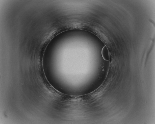 X0000098130306200804241656