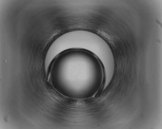 X0000098130308200804241656