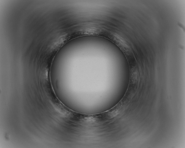 X0000098130310200804241656
