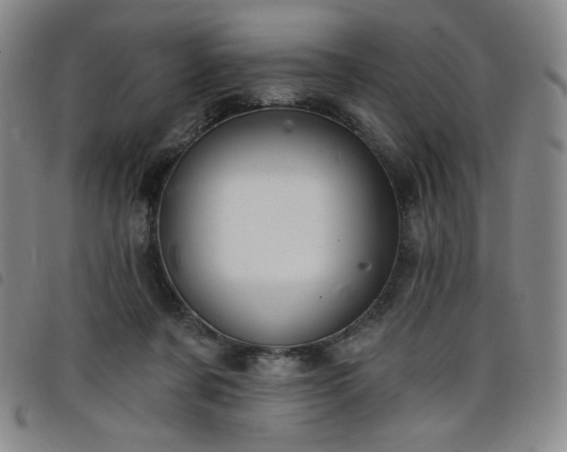 X0000098130311200804241656