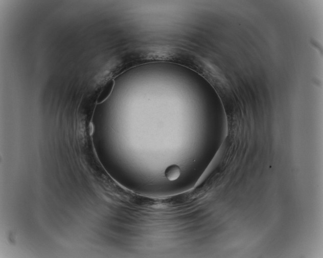 X0000098130312200804241656