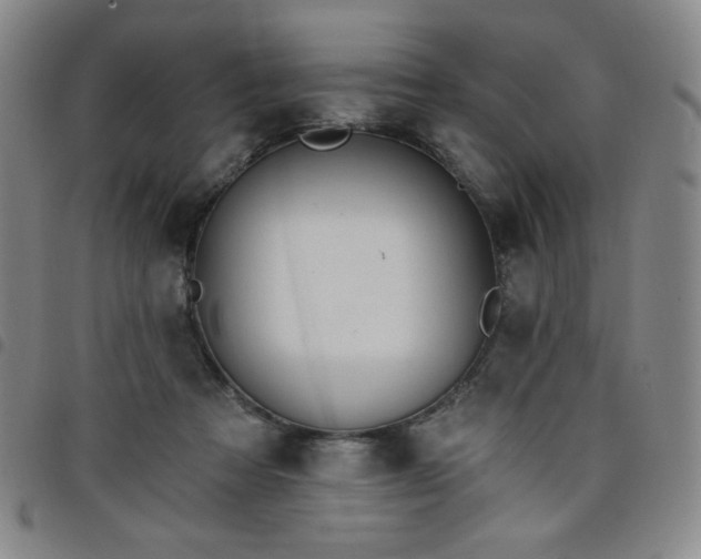 X0000098130313200804241656
