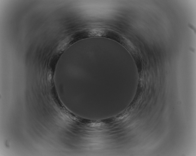 X0000098130314200804241656