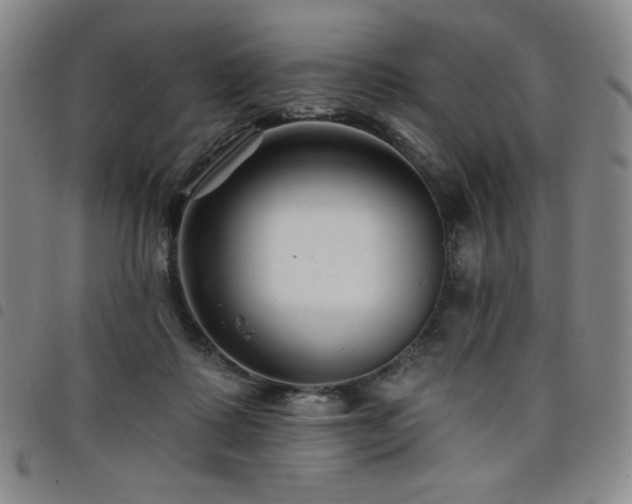 X0000098130315200804241656