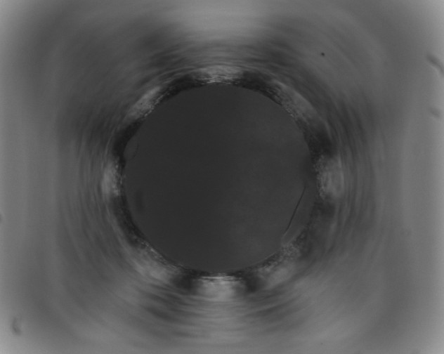 X0000098130316200804241656