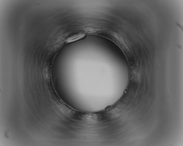 X0000098130317200804241656