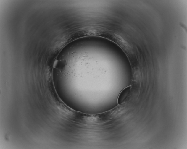 X0000098130318200804241656