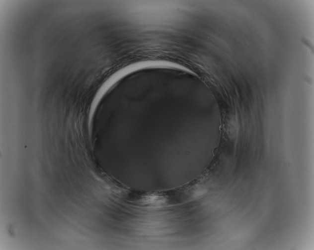 X0000098130319200804241656