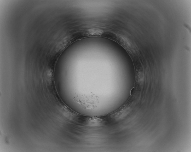 X0000098130321200804241656