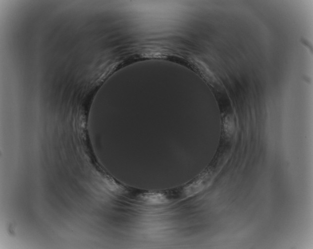X0000098130322200804241656