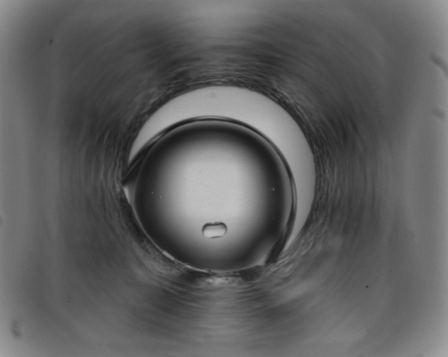 X0000098130323200804241656