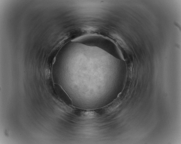 X0000098130324200804241656