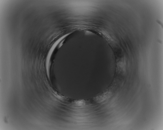 X0000098130325200804241656
