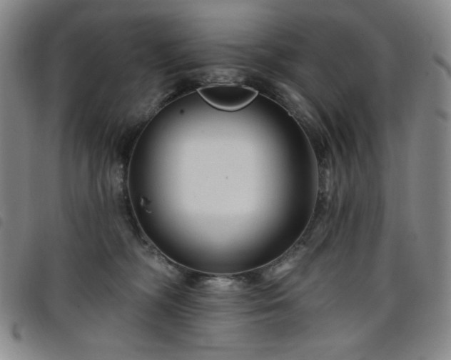 X0000098130326200804241656