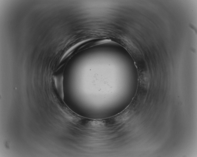 X0000098130327200804241656