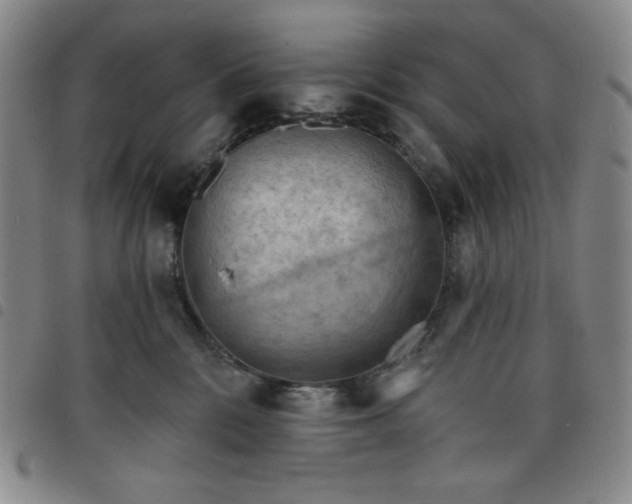 X0000098130328200804241656