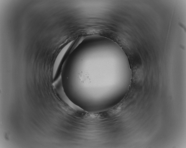 X0000098130329200804241656