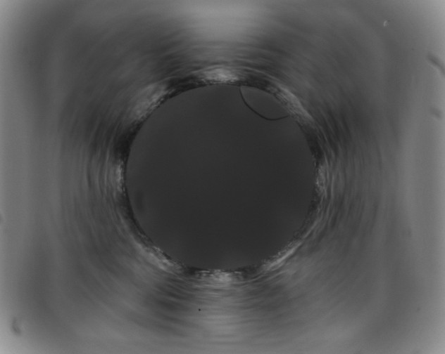 X0000098130330200804241656
