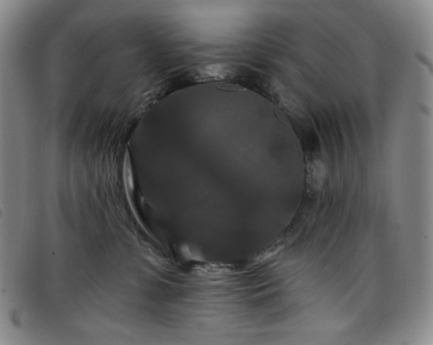 X0000098130331200804241656