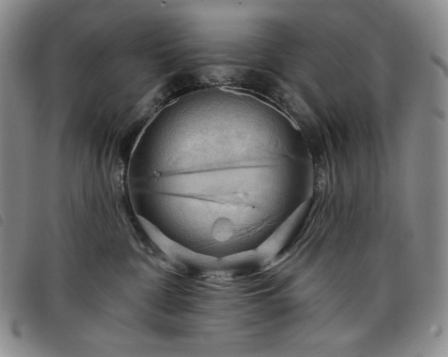 X0000098130332200804241656