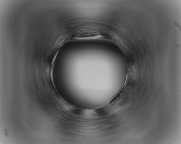 X0000098130333200804241656