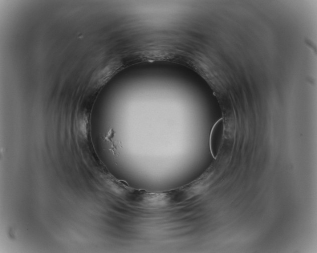 X0000098130334200804241656