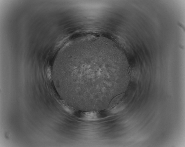 X0000098130335200804241656