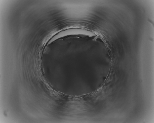 X0000098130337200804241655