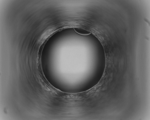 X0000098130338200804241655