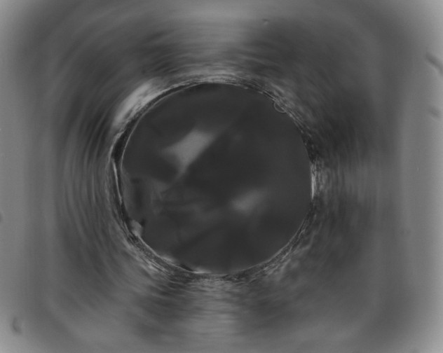 X0000098130339200804241655