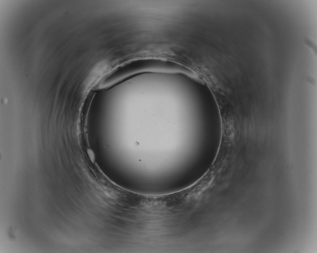 X0000098130340200804241655