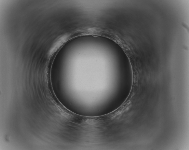 X0000098130341200804241655