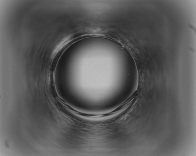 X0000098130344200804241655