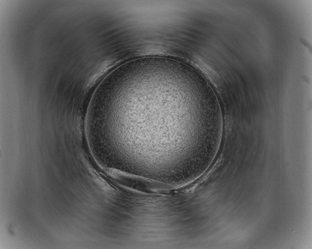 X0000098130345200804241655