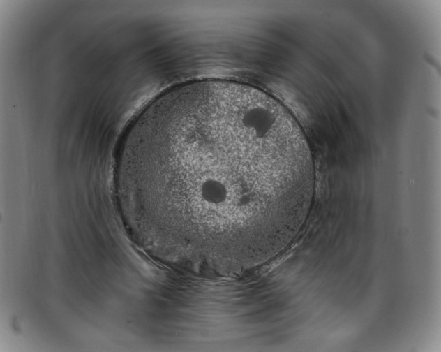 X0000098130346200804241655