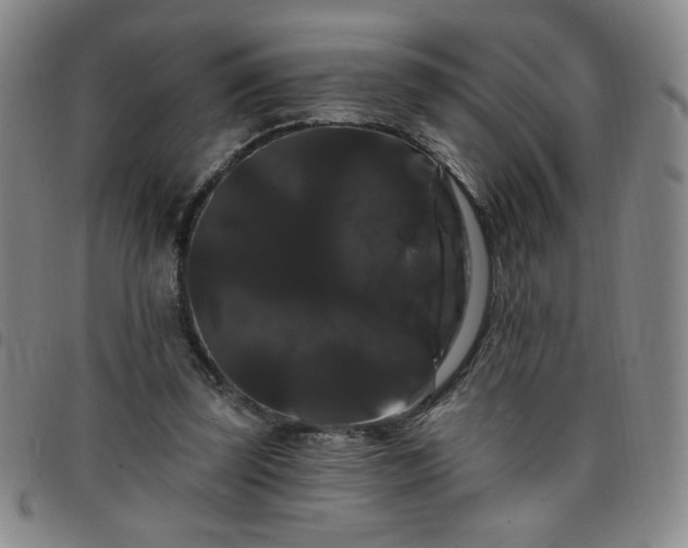 X0000098130347200804241655
