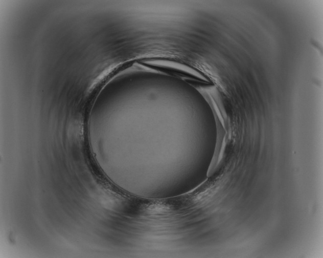 X0000098130348200804241655