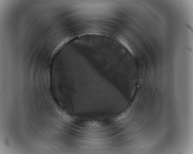 X0000098130349200804241655