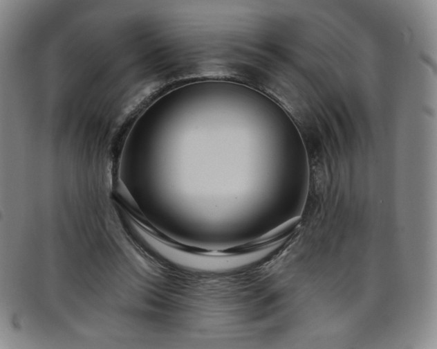 X0000098130350200804241655