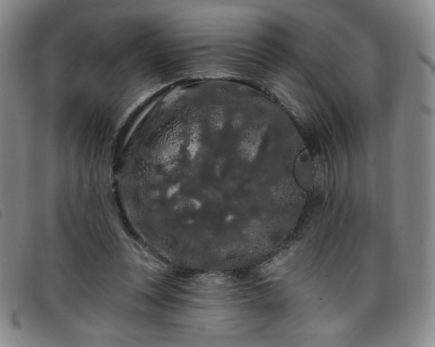 X0000098130351200804241655
