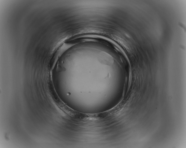 X0000098130352200804241655
