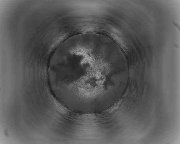 X0000098130353200804241655